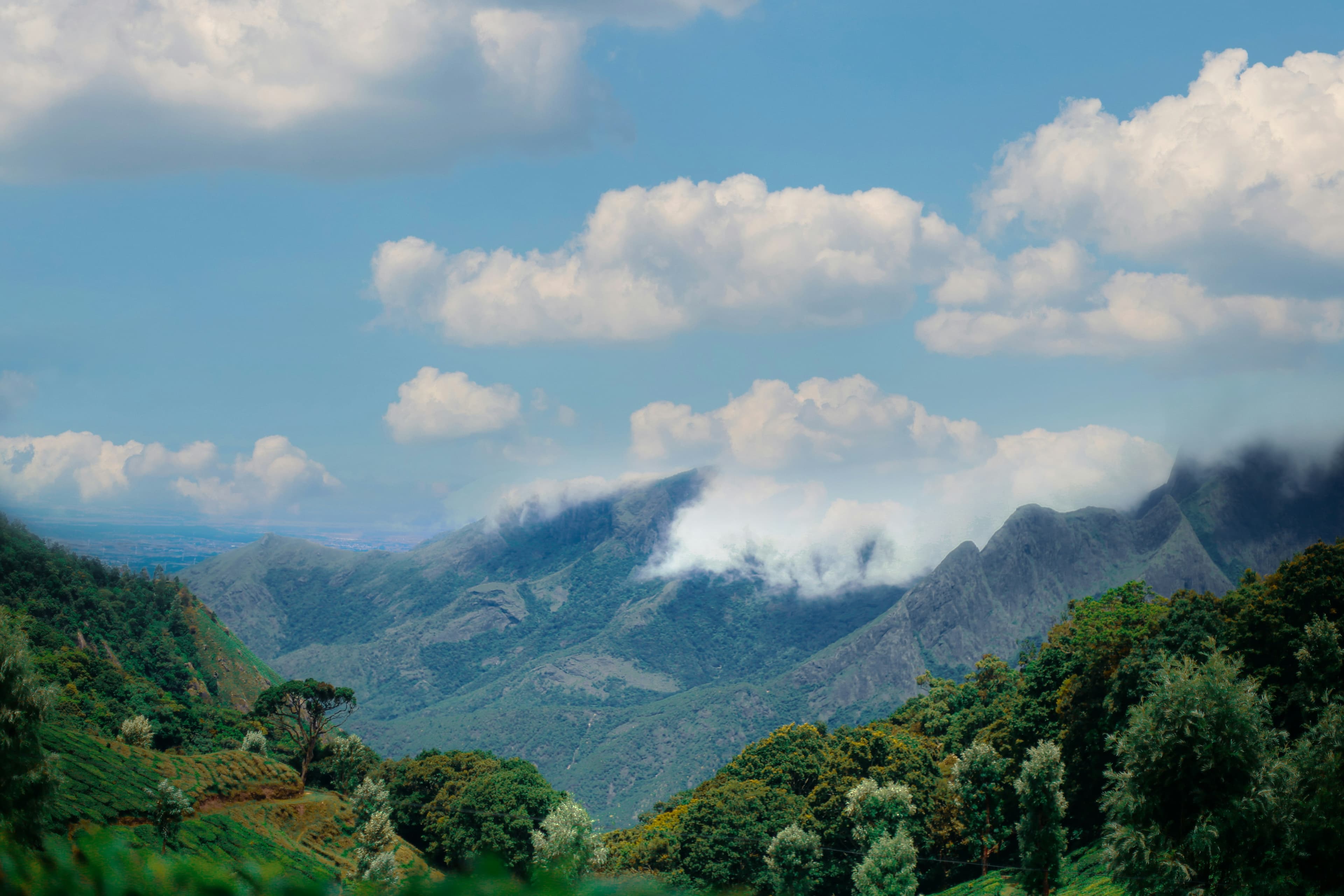 Munnar Misty Hills Escape gallery