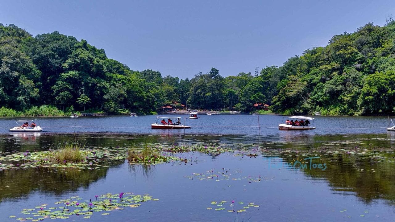 Wayanad Nature Escape gallery