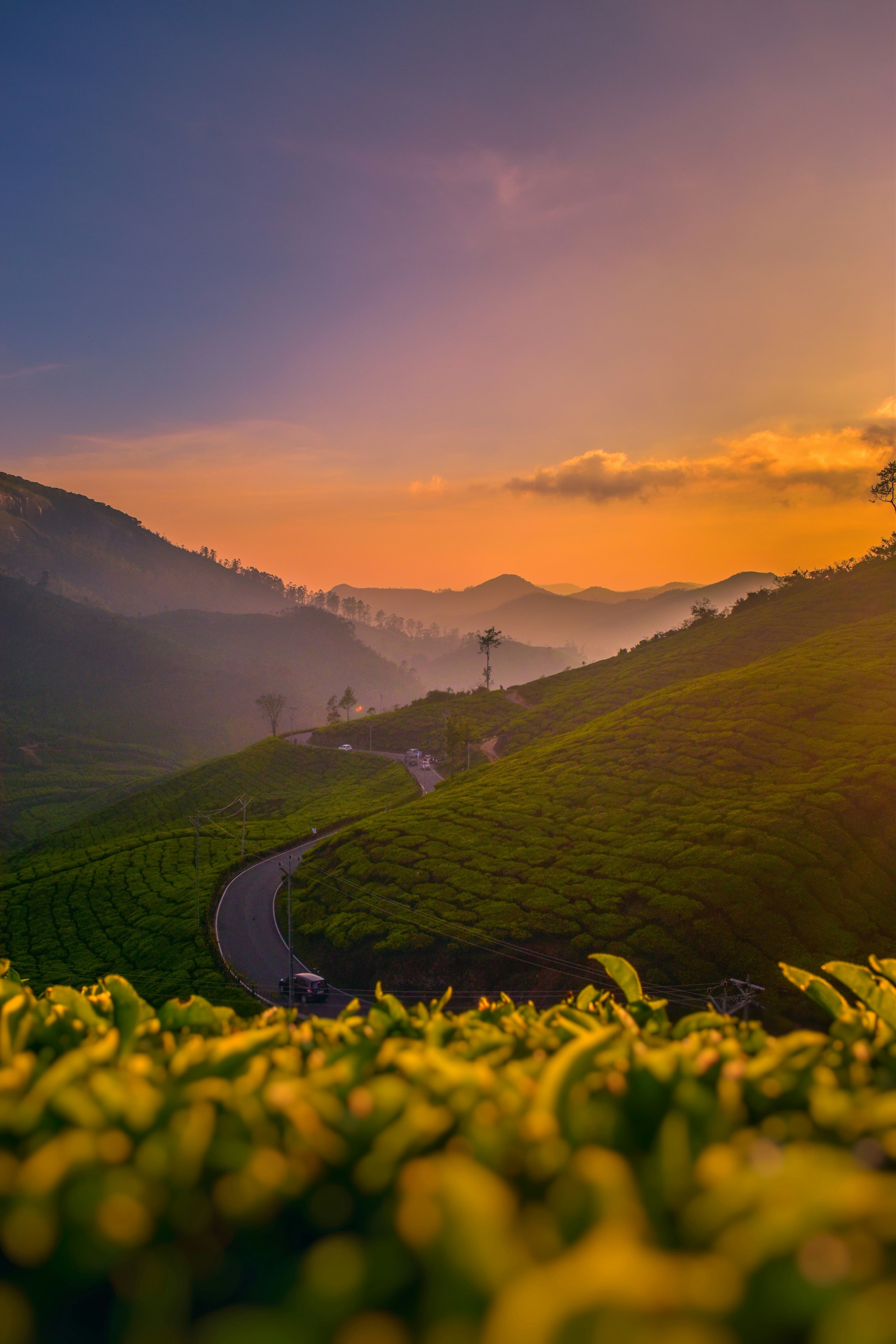 Exclusive Kerala Experience travel package